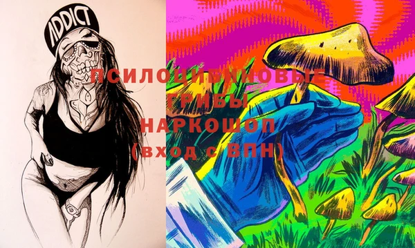 PSILOCYBIN Краснотурьинск