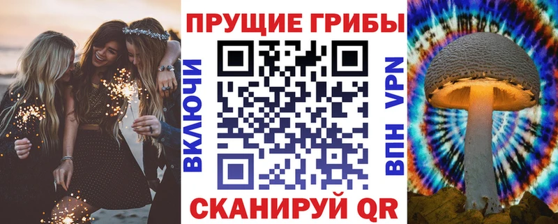 Купить где  Лермонтов  Псилоцибиновые грибы Cubensis 