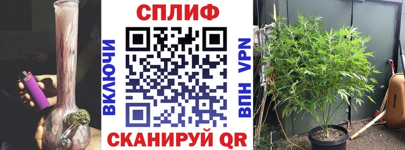 Шишки марихуана конопля Купить закладки Лермонтов